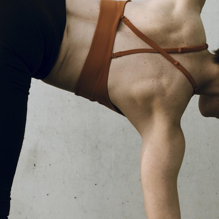 Professional gym interior with weight equipment