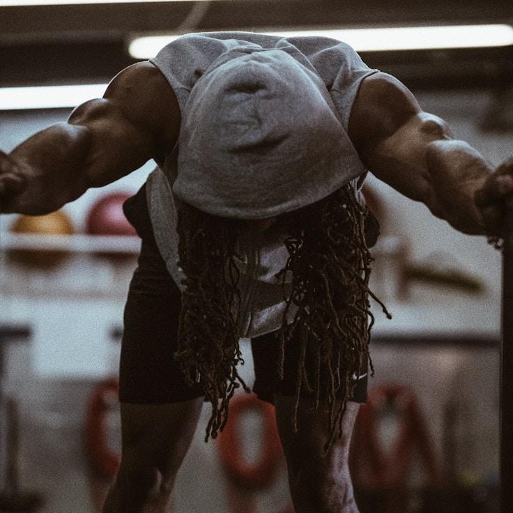 Professional gym with weight equipment