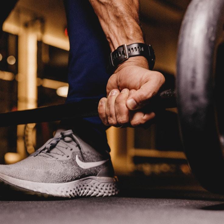 Contemporary gym interior featuring workout equipment